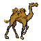 494